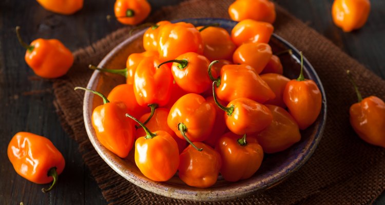 Raw Organic Orange Habanero Peppers