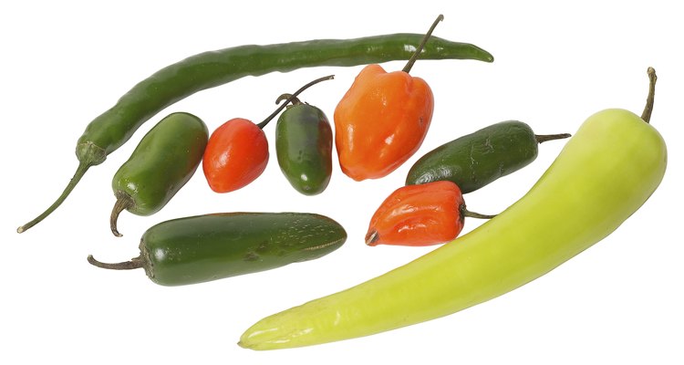 Peppers grow much more quickly with hydroponics.