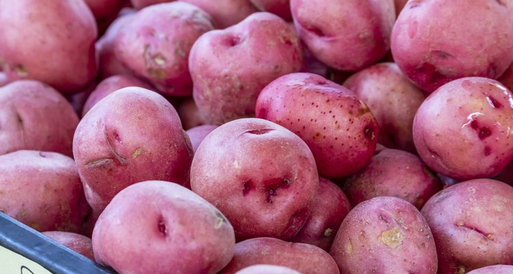 Fresh Organic Fruits and Vegetables at Farmers Market