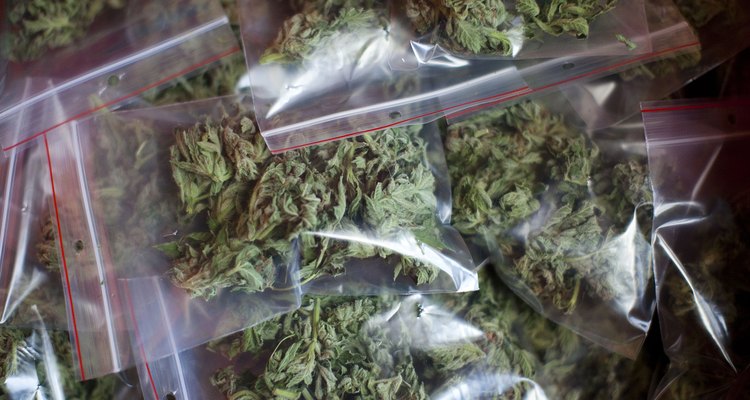 As lojas que comercializam maconha estão em alta em alguns estados