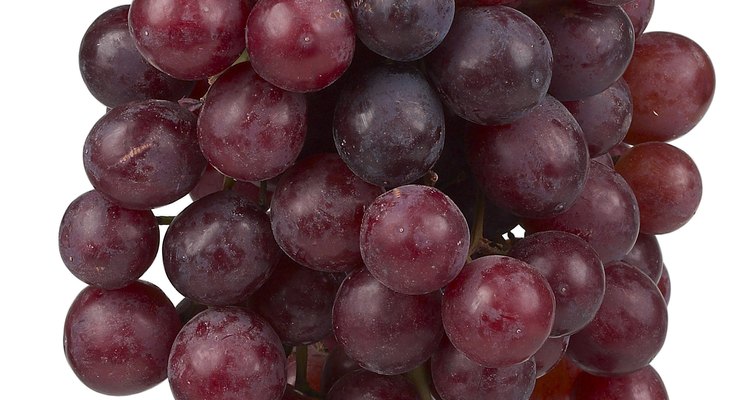 Alveoli resemble grapes hanging on the vine.