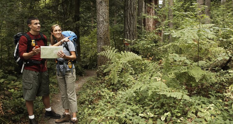 Man and woman looking at map and using GPS on footpath in forest