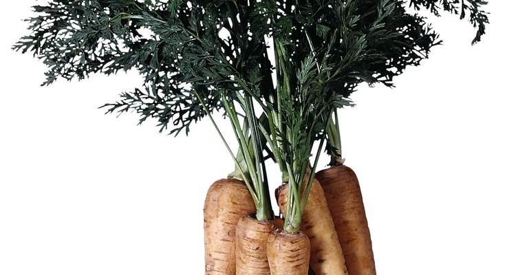 the-difference-between-tubers-root-crops