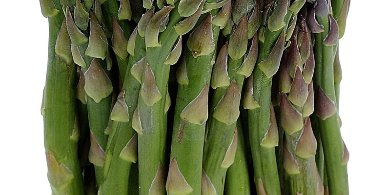 El espárrago es una de las pocas plantas comestibles en la familia que da semillas y no frutos.