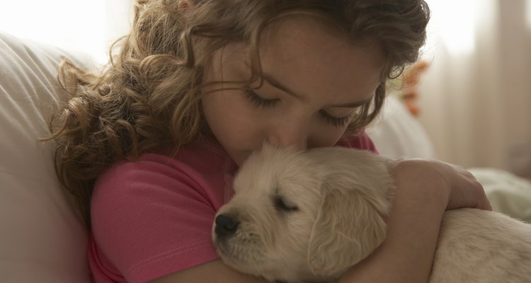 Pasar la aspiradora a menudo y mantener limpio al animal puede ayudar a mantener a tu hijo sano y salvo.