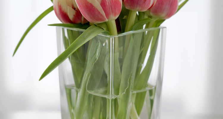 Un jarrón con tulipanes sencillos bicolores con pétalos blancos y rosa salmón.