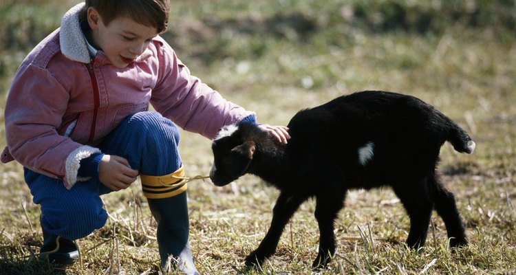 Los niños en Saline pueden participar en distintas actividades, desde granjas hasta clases.