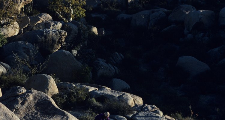 Malinche, la conquista de América