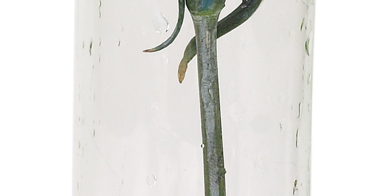 Otros claveles diseñados son el clavel azul, también conocido como polvo de luna.