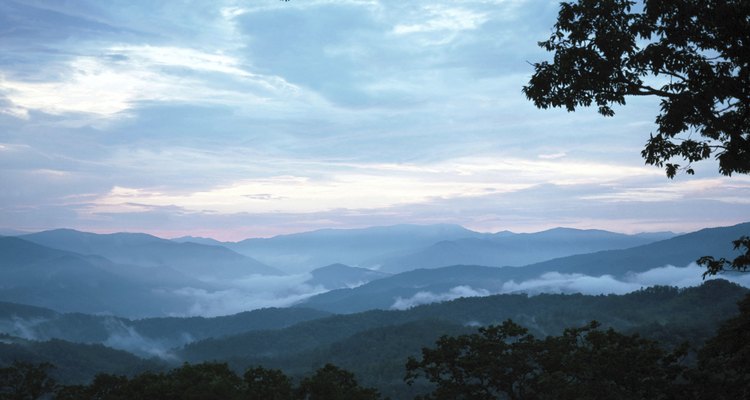 Las nubladas mañanas te esperan en las afueras de tu carpa en las Smoky Mountains.
