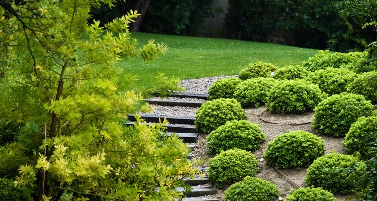 Un jardín con buena vista puede agregar belleza a tu hogar.