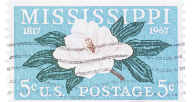 La magnolia perenne del sur es la flor del estado de Mississippi.