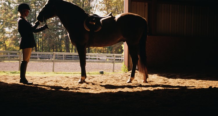 Practica con un caballo de confianza.