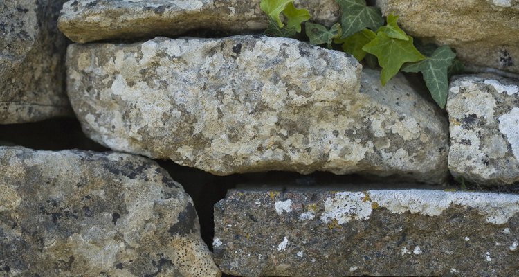As pedras podem representar verdades ou ideias que são difíceis de entender ou aceitar