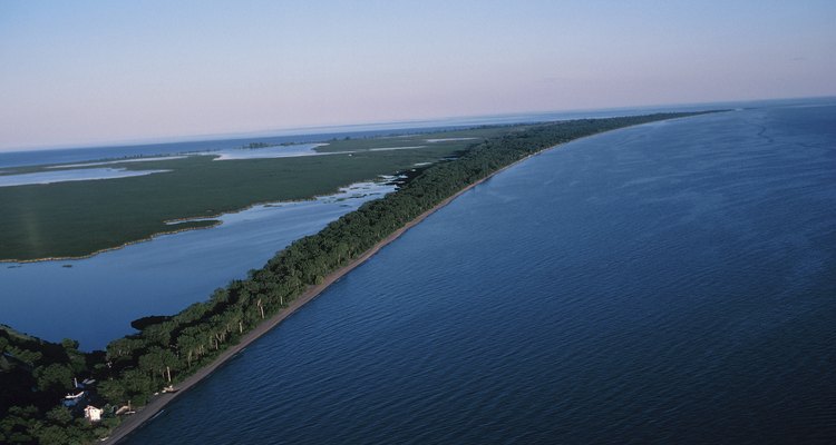 La bahía de la isla Presque sirve como un lugar natural de desove y alimentación de muchos de los peces nativos del lago Erie.