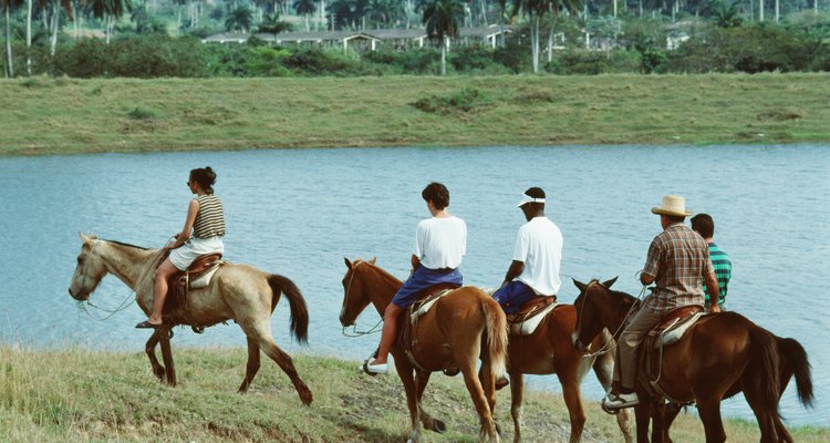 Podrás apreder a montar a caballo.