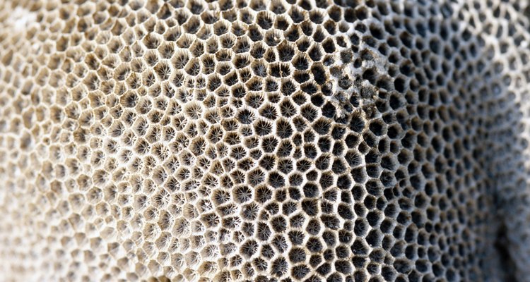 Fibrose pulmonar é uma condição que cria complicações respiratórias e, com o tempo, torna a respiração dolorosa