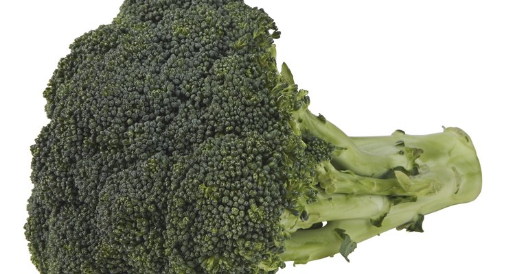 Evite brócolis borrachudos e duros para garantir o melhor sabor