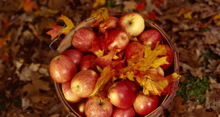 La manzana era una parte regular de la dieta medieval.