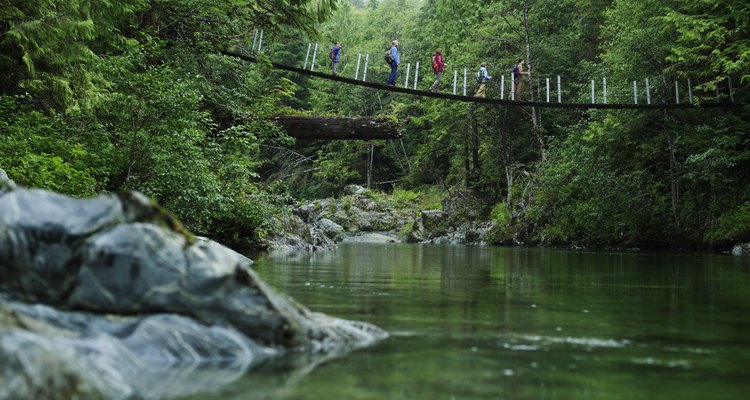 Los puentes colgantes son divertidos para viajar a través de los límites de la naturaleza.