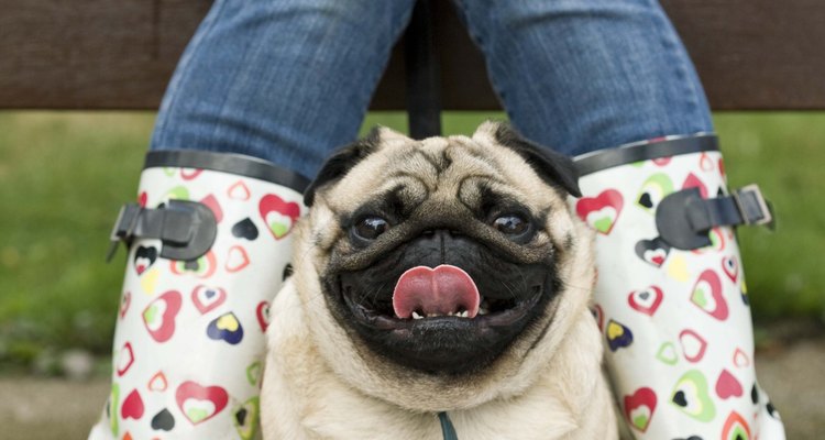 Woman sitting with pug