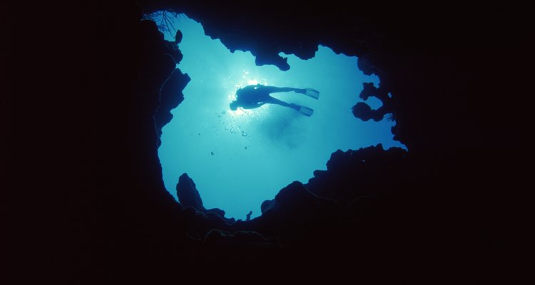 Bucea en el profundo mar azul que rodea la isla.