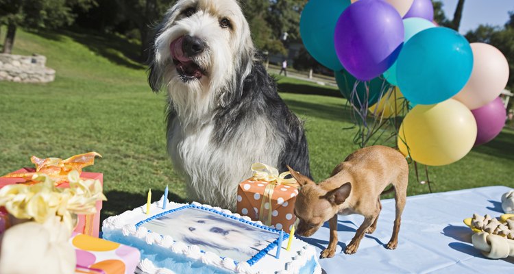 ¡Celebración del cumpleaños!