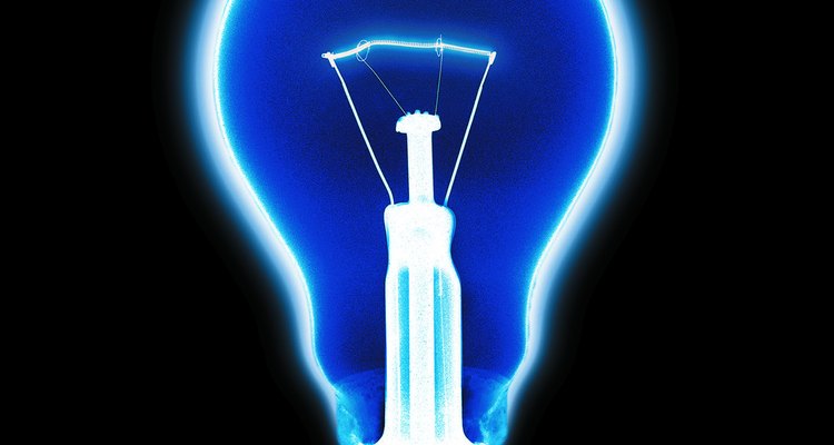 Insetos são atraídos pela luz negra