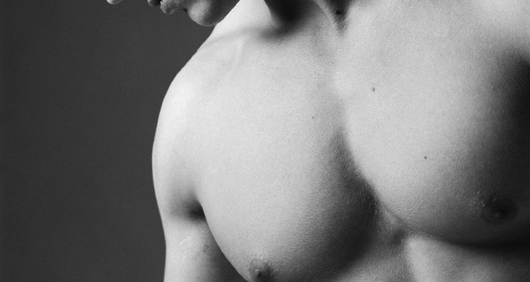 Tanto os homens quanto as mulheres possuem glândulas mamárias