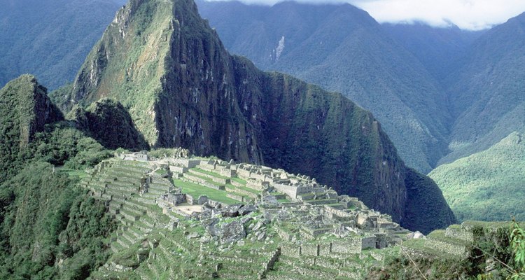 La quinoa se ha cultivado en los Andes por más de 5.000 años.