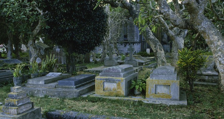 Cemetery in new orleans