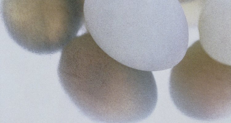 Eggs are high in cholesterol.