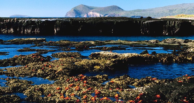 Patrimônio da Humanidade: Galápagos, Equador