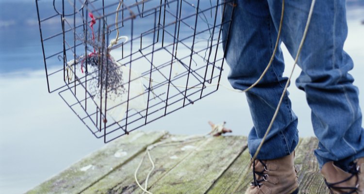 Cages such as crabbing pots make useful squirrel deterrents.