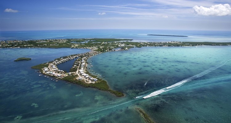 En el suroeste de Florida, puedes practicar el snorkel justo en las afueras de la playa.