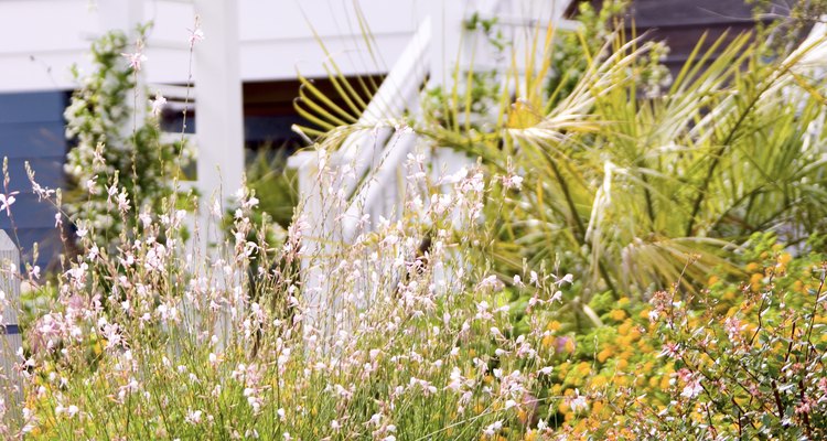 Los arcos florales crean interés en jardines y fiestas.