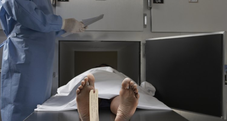 What Are The Daily Responsibilities Of A Morgue Assistant 5934