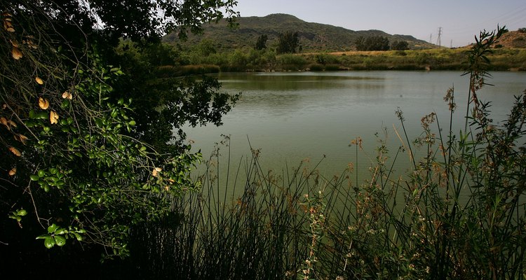 Pasea junto al único lago natural de Orange County en Laguna Coast Wilderness Park.