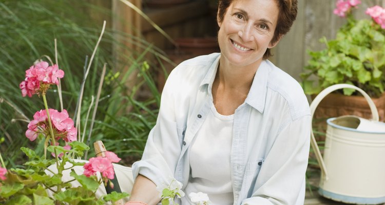 En las empresas de jardinería profesional, los jardineros principales tienen importantes responsabilidades que varían ampliamente.