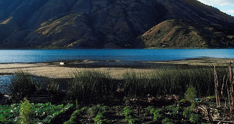 Los andisoles son suelos agrícolas ricos que se encuentran cerca de los volcanes.