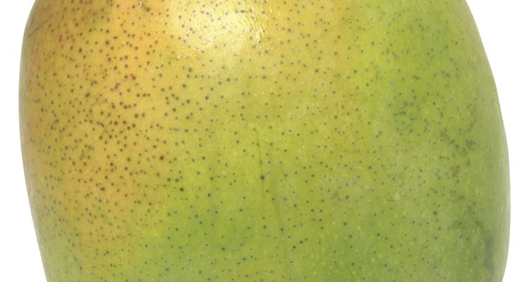 La fruta del mango contiene una corteza dura que encierra una semilla o pepita pequeña, con forma de riñón.