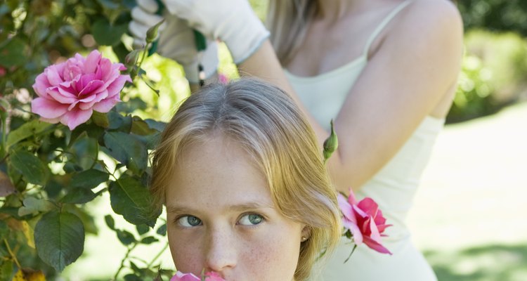 Roses come in a variety of colours, including pink, red, white and yellow.
