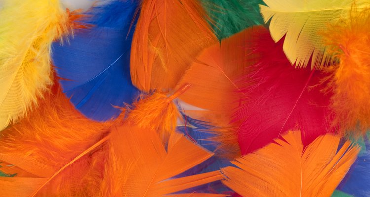 You can't dye feathers in the washing machine.