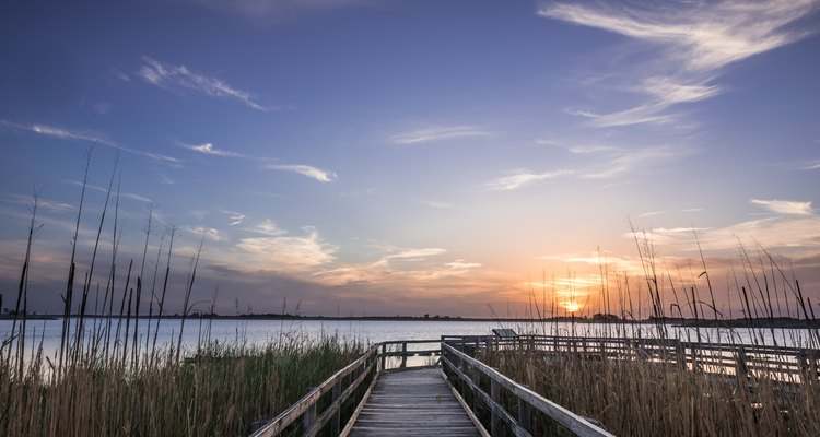 Sunset On The  Dock Of The Back Bay