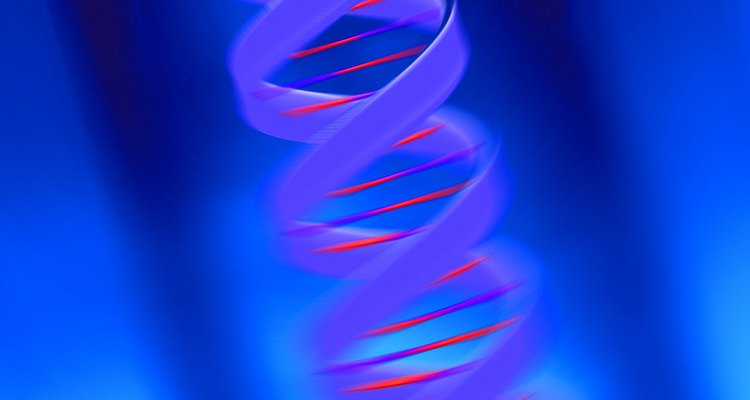 En el cariotipado, los cromosomas son teñidos para revelar su estructura.
