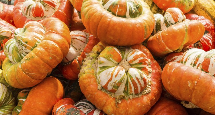 Turban squash on display at the market