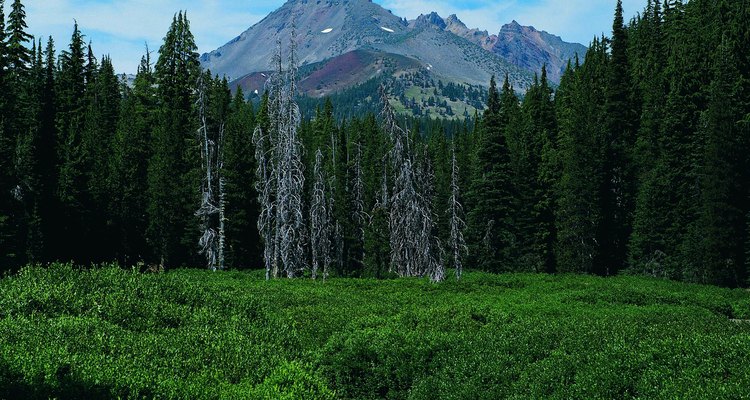 La cima de Brojen Top está sobre Deschutes National Forest.