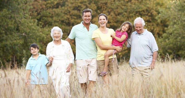 Portrait Of Extended Family Group In Park