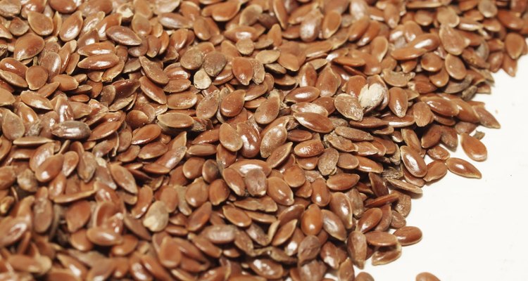 flax seeds background. food for human and horses