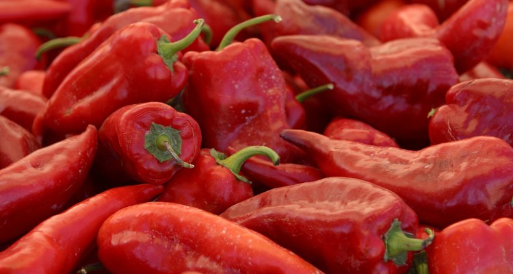 Capsicum annuum es la especie más conocida, extendida y cultivada del género Capsicum de la familia Solanaceae.